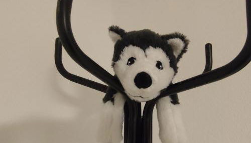 FeWo Hospitalskapelle - Foto 3