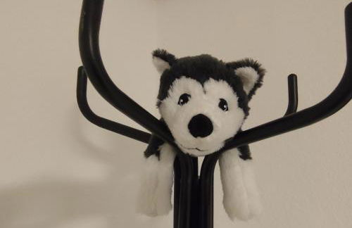 FeWo Hospitalskapelle - Foto 3