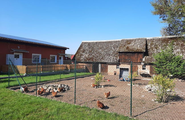 Ferienwohnung am Oase am Vilzsee - Photo 35