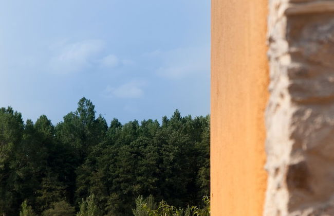 Can Dalemus - Photo 46