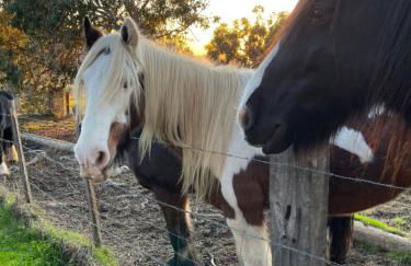 Superbe appartement neuf de haut standing - Foto 31