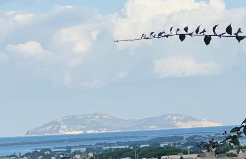 Villa Rosemary - Photo 48