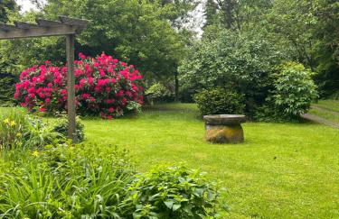 Ferienapartments Engeln Eifel - Foto 30