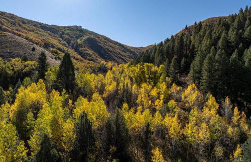 Escape to Eden at the Pointe Pt C103 Wkly Discnt - Foto 40