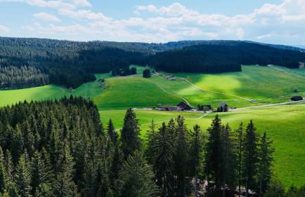 Ferienhaus Wendelhof - Foto 22