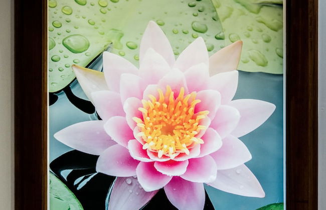 Bali at the Bay - Photo 33