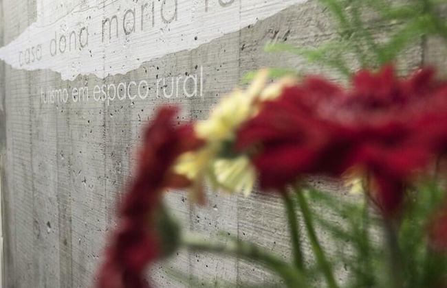 Casa Dona Maria Luiza - Foto 29