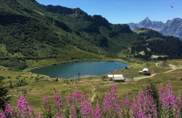 Les Carroz d'Araches - Foto 8