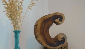 Nidu Accogliente in Balagna - Foto 4