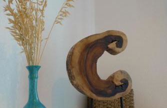 Nidu Accogliente in Balagna - Foto 4