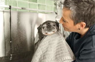 Oida Knoglerhof - Photo 26