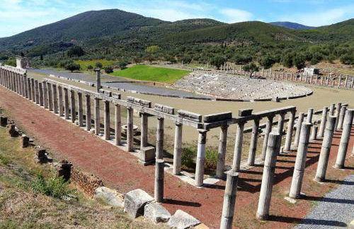 Comfort Holidays - Foto 47