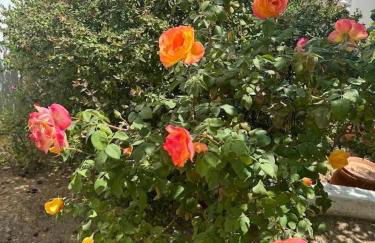 A little paradise - Foto 51