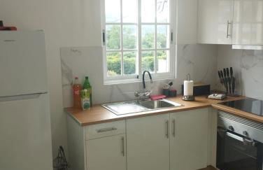 Green Passion - Photo 6