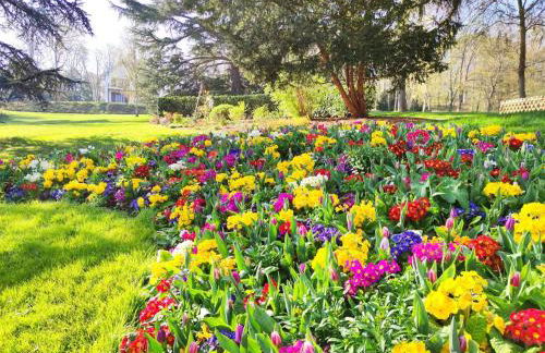 Le Repère de Poissy・4 Ch de Standing - Foto 20