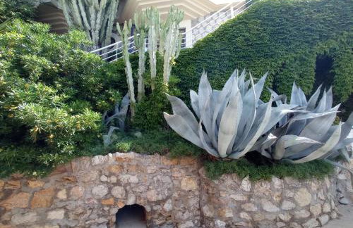 Bel appartement en bord de mer avec piscine lagon et jardin, en résidence sécurisée - Foto 64