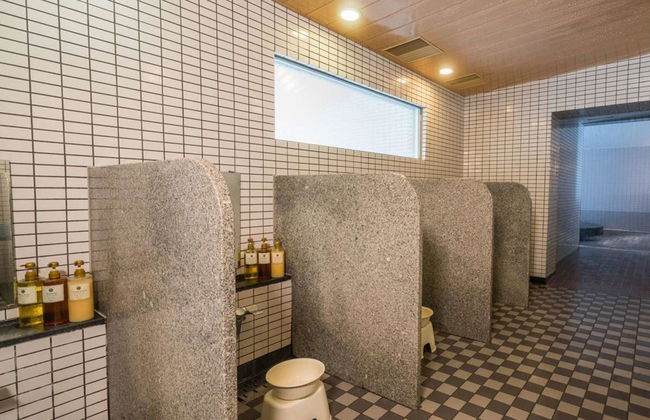 Naeba Prince Hotel - Photo 11