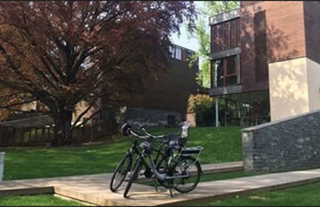 Casa sull'Albero - Foto 20