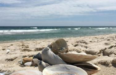 Beachy Lavallette Cottage with Outdoor Shower, Patio - Foto 28
