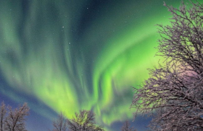 Bear Corner Lodge - Photo 41