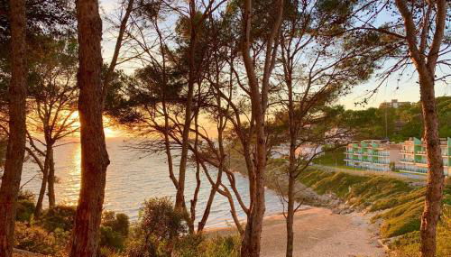 Mediterranean Way - Cases Blanques - Foto 4