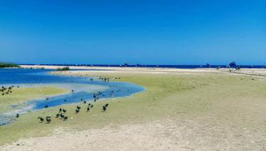 Casa sol y mar - Foto 3