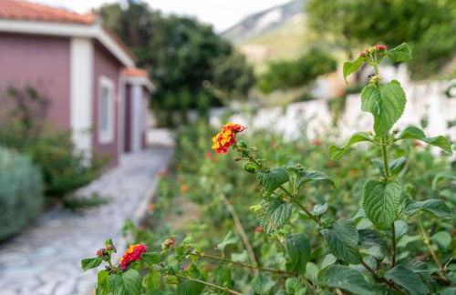 Lorraine's Cottage Style Studios, shared swimming pool and bbq only for guests at Simotata village - Photo 62