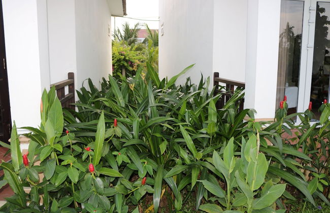 Green Areca villa - Photo 33