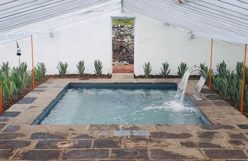 Herdade do Ananás - Photo 2