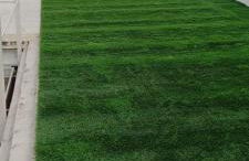 Apartamento Mensaque Triana, 2 dormitorios - Photo 49