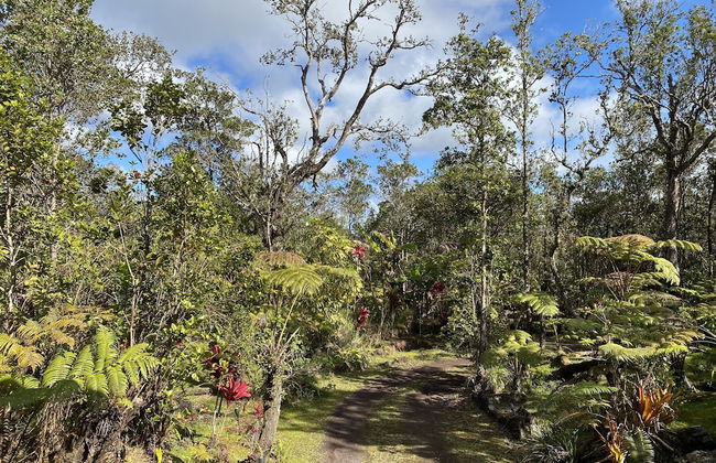 Volcano Rainforest Lodge - Foto 56