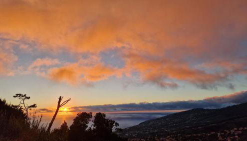 Madeira Mountain Paradise - Casa da Levada do Arco - Photo 4