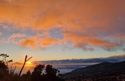 Madeira Mountain Paradise - Casa da Levada do Arco - Foto 4