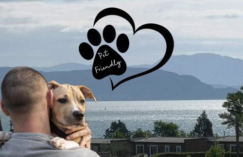 Note di lago - Photo 2