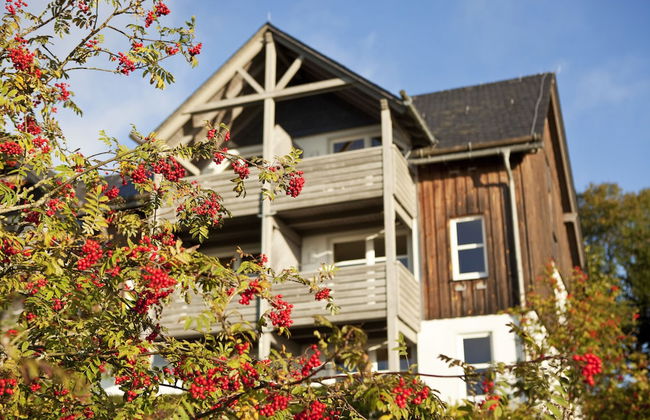 Hapimag Resort Winterberg - Photo 28