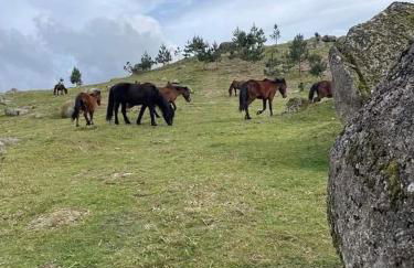 Casa de Casarelhos - "Gerês" - Foto 48