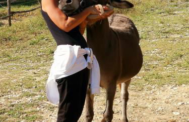 Pietra Antica Agriturismo - Foto 24