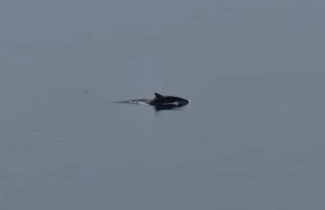 Flat by the sea with great view - Foto 13