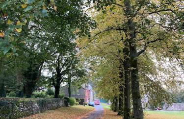 Bluebell Cottage in the Yorkshire Dales - Foto 13