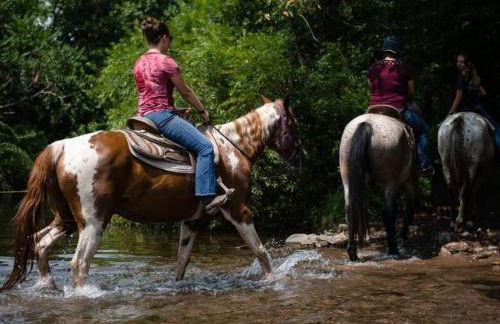 The Black Forest Chalet - Hot Tub, Hiking, Kayak - Foto 11