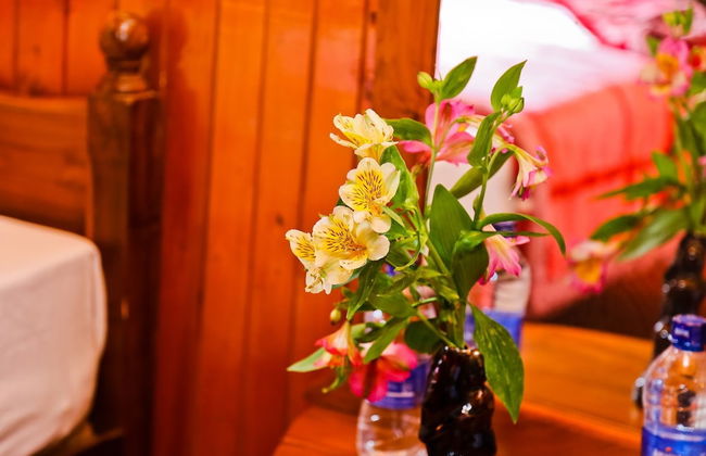 PleasureInn Bungalow - Foto 7