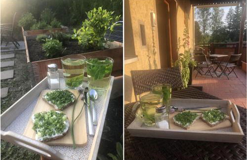 FaFeWo Ferienwohnungen mit Sternekomfort in Tanne Harz - Foto 52