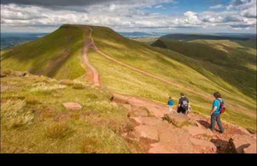 Kookaburra Cottage - Foto 12