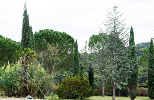 Gîte L'Olivier - La Roseraie du Val'Ensoleillé - Photo 32