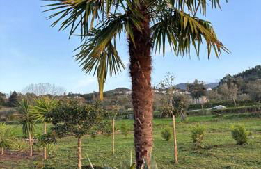 Quinta Santo Antonio - Foto 60