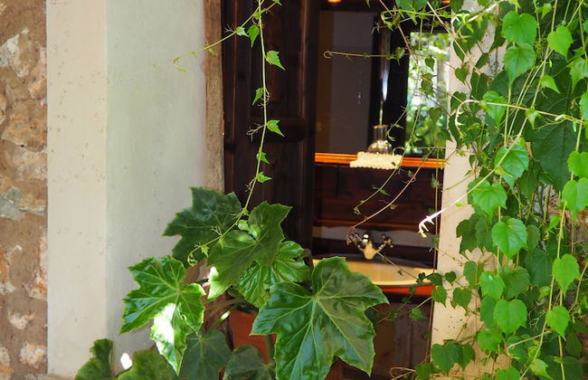 Son Mercadal - Foto 18