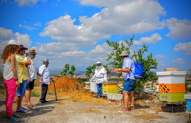 Tzionis Petroktisto Holiday Stonehouse - Photo 80