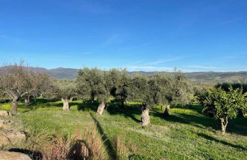 Samorinha House - Foto 15