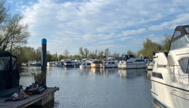 The River Thames - Surrey Boat - Foto 5