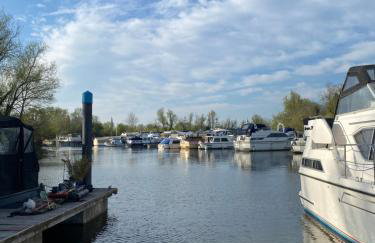 The River Thames - Surrey Boat - Foto 5